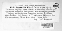 Septoria citri image